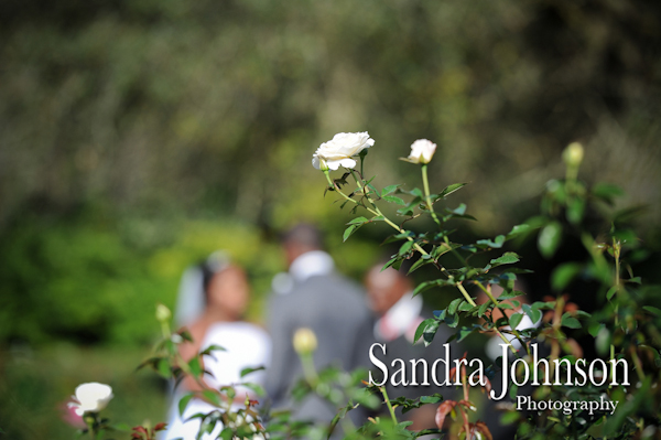 Best 310 Lakeside wedding photographer - Sandra Johnson (SJFoto.com)